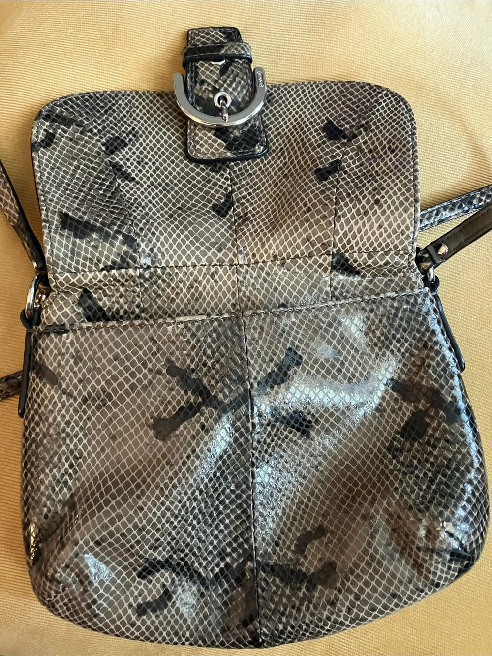 Coach snakeskin Purse